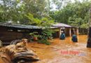 Phú Riềng: Mưa lớn khiến nhiều nhà dân bị ngập