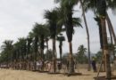 Các địa phương trong tỉnh Khánh Hòa phát động Tết trồng cây