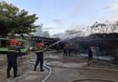 21 xe điện du lịch ở Hội An bị thiêu rụi, người dân dập lửa nhưng bất thành